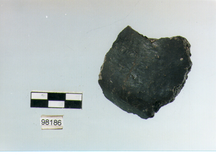 carena (età del Bronzo medio)