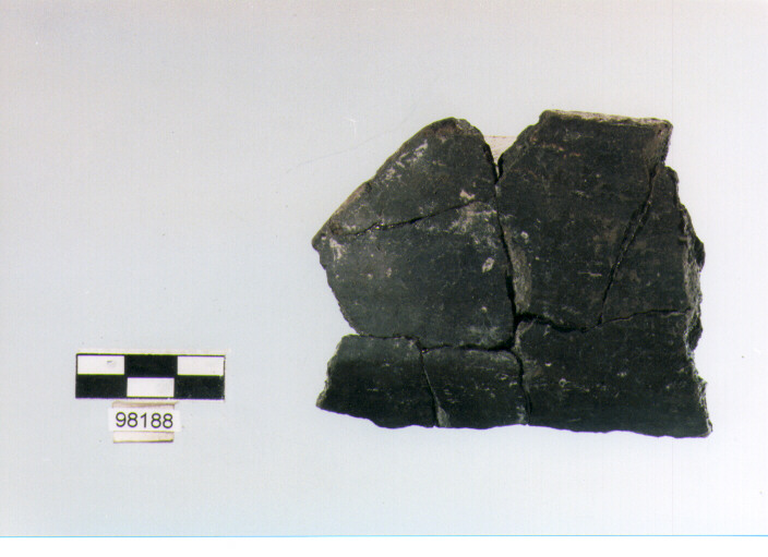 carena (età del Bronzo medio)