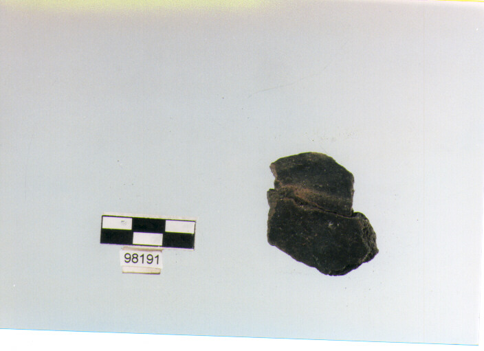 carena (età del Bronzo medio)