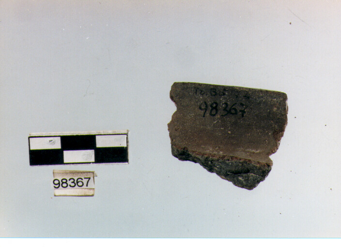 ORLO A TESA (bronzo medio)