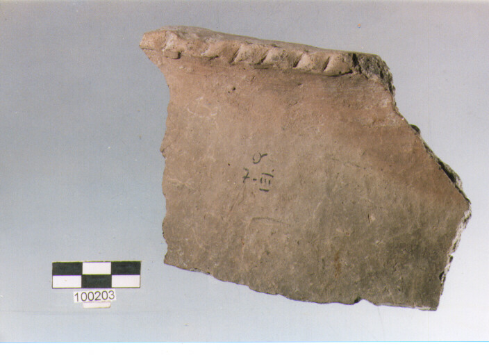 olla ovoide, tipo F1, Ortucchio - eneolitico (III MILLENNIO a.C)