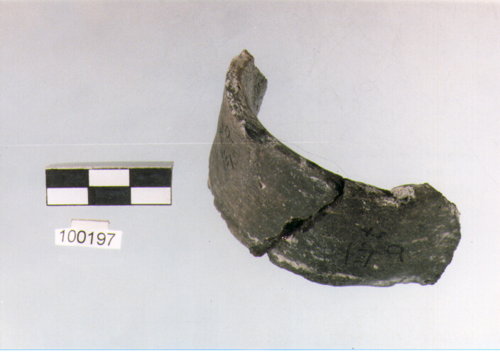 ansa a nastro, tipo A2, Ortucchio - eneolitico (III MILLENNIO a.C)