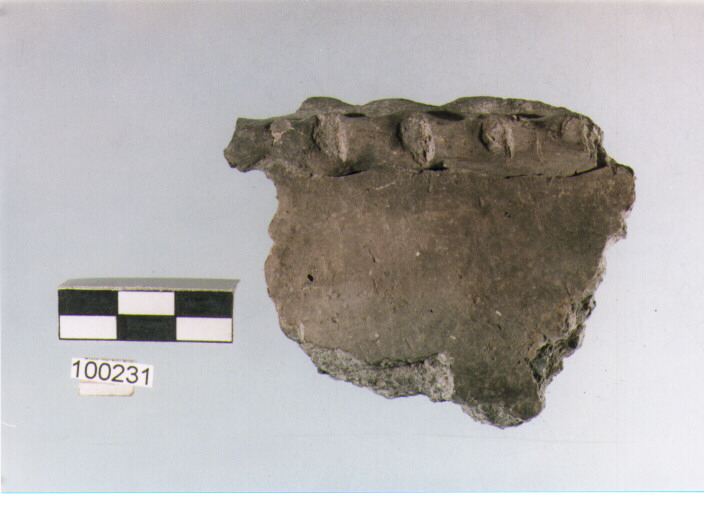 orlo, tipo E5a1, Ortucchio - eneolitico (III MILLENNIO a.C)