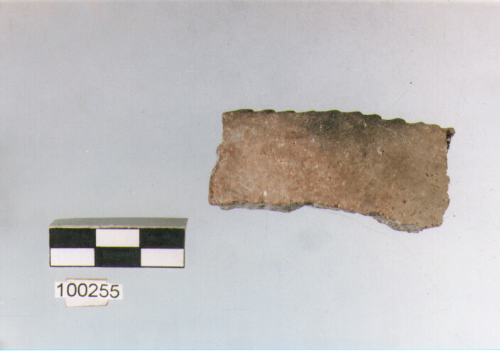 orlo, tipo E5a1, Ortucchio - eneolitico (III MILLENNIO a.C)