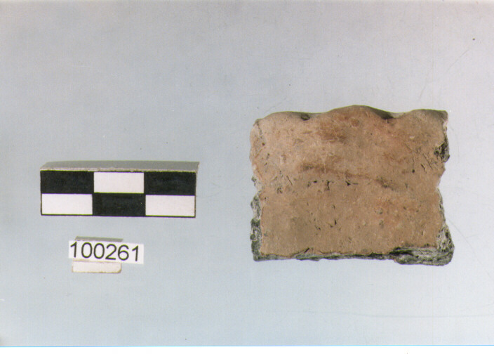 orlo, tipo E5a1, Ortucchio - eneolitico (III MILLENNIO a.C)