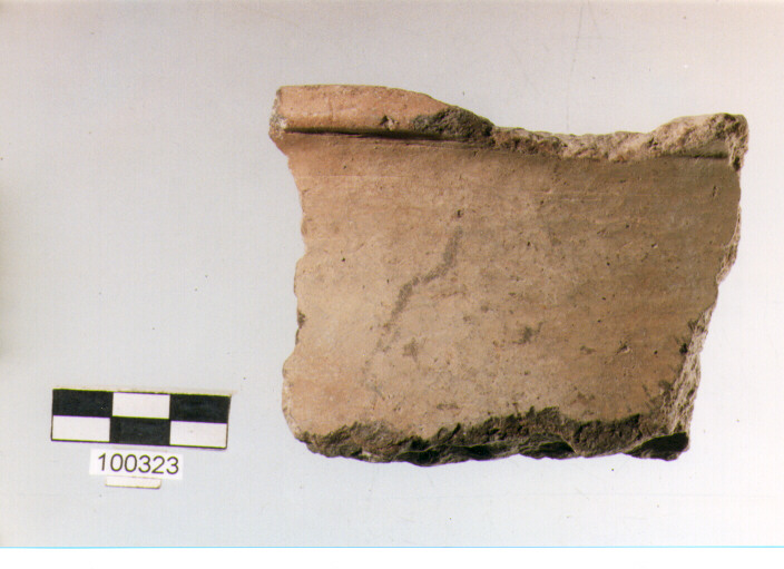 collo, tipo E4a, Ortucchio - eneolitico (III MILLENNIO a.C)