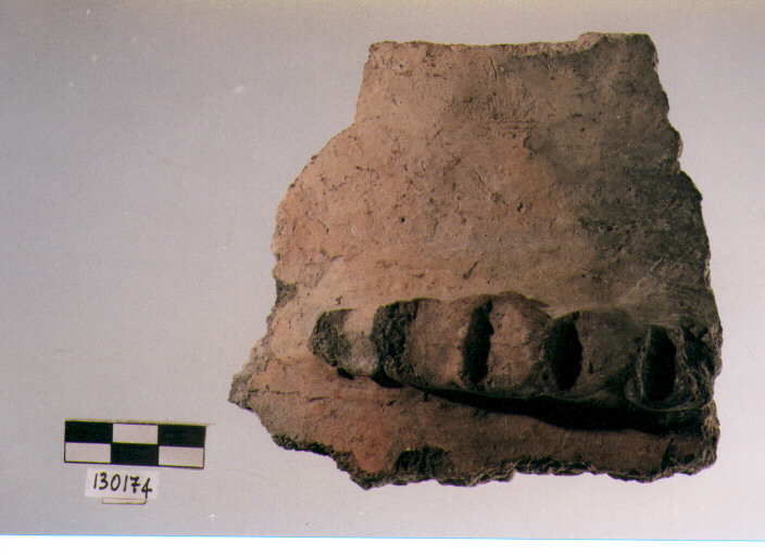 parete cordonata, tipo E7, Ortucchio - eneolitico (III MILLENNIO a.C)