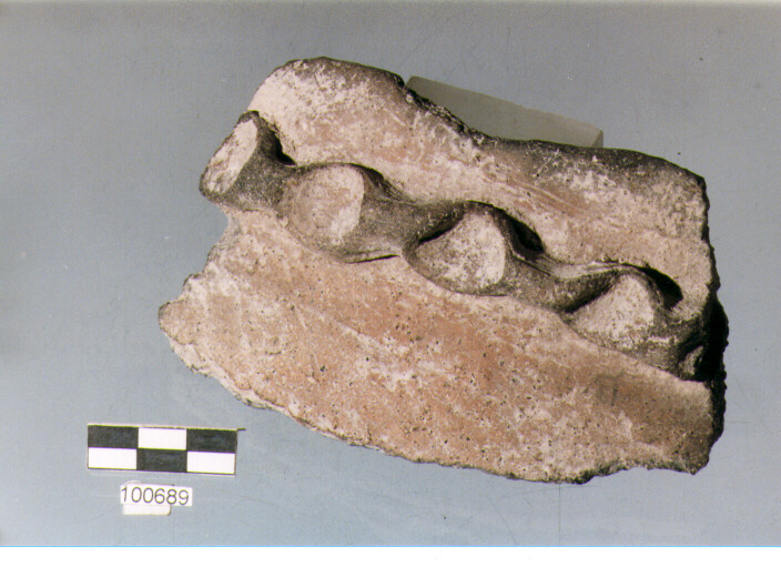 olla ovoide, tipo F1, Ortucchio - eneolitico-età del bronzo (III/ II MILLENNIO a.C)