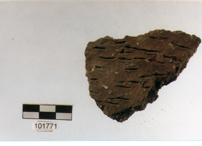 parete, tipo E 7a1, Grotta S.Angelo - neolitico medio-finale (V/ IV millennio a.C)