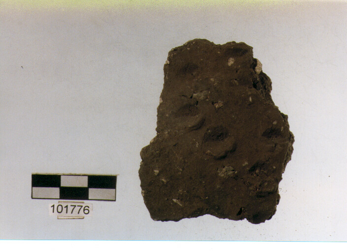 parete, tipo E 7a1, Grotta S.Angelo - neolitico medio-finale (V/ IV millennio a.C)