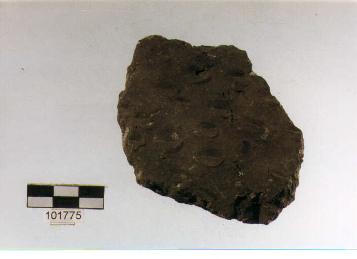 parete, tipo E 7a1, Grotta S.Angelo - neolitico medio-finale (V/ IV millennio a.C)