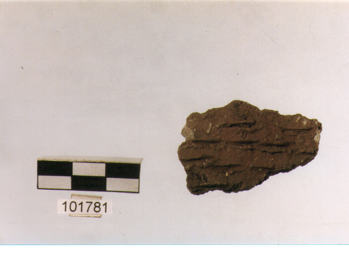 parete, tipo E 7a1, Grotta S.Angelo - neolitico medio-finale (V/ IV millennio a.C)