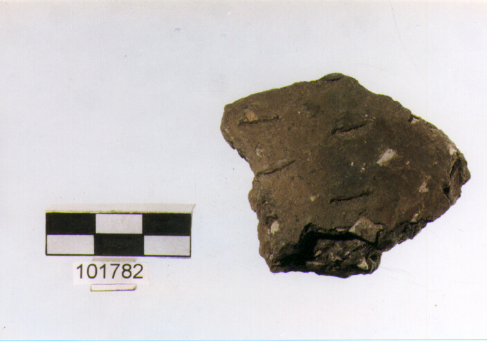 parete, tipo E7a1, Grotta Sant'Angelo - neolitico medio-finale (V/ IV millennio a.C)