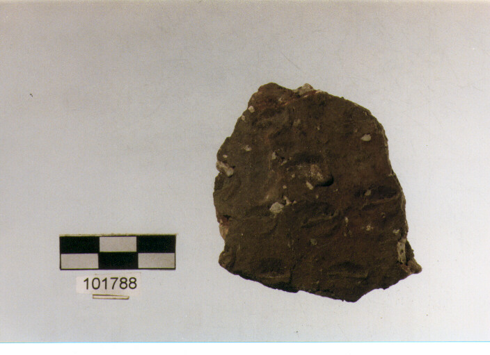 parete, tipo E 7a1, Grotta S.Angelo - neolitico medio-finale (V/ IV millennio a.C)