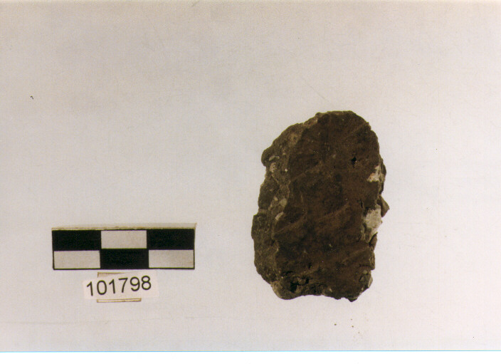 parete, tipo E 7a1, Grotta S.Angelo - neolitico medio-finale (V/ IV millennio a.C)