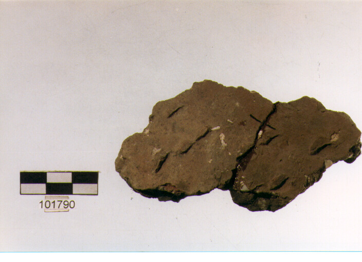 parete, tipo E 7a1, Grotta S.Angelo - neolitico medio-finale (V/ IV millennio a.C)