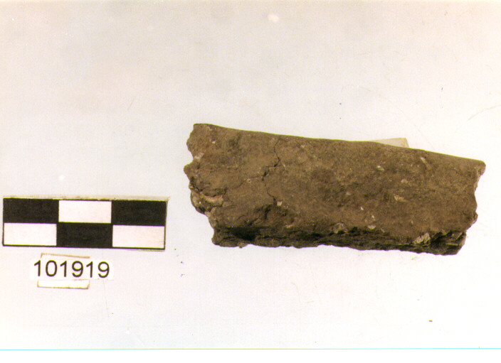 orlo, tipo E 6, Grotta S.Angelo - neo-eneolitico (V/ III millennio a.C)