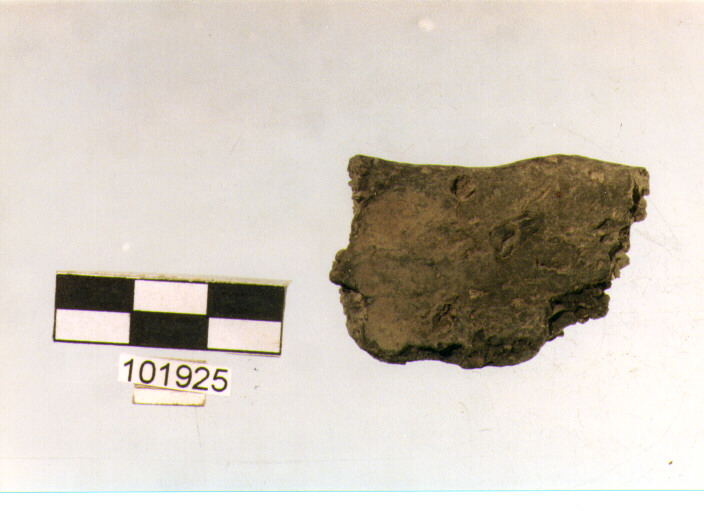 orlo, tipo E 6, Grotta S.Angelo - neo-eneolitico (V/ III millennio a.C)