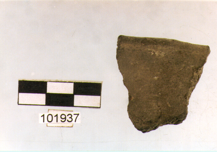 orlo, tipo E 6, Grotta S.Angelo - neo-eneolitico (V/ III millennio a.C)