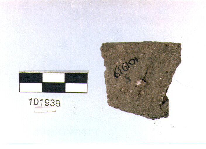 orlo, tipo E6, Grotta Sant'Angelo - neo-eneolitico (V/ III millennio a.C)