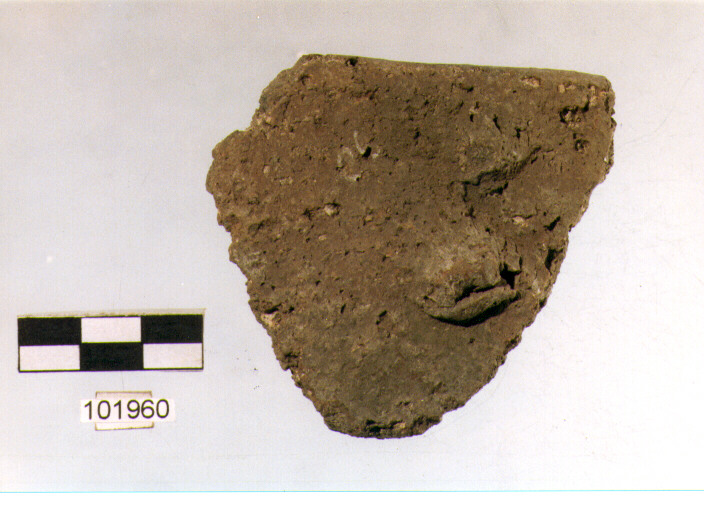 orlo, tipo E 6, Grotta S.Angelo - neo-eneolitico (V/ III millennio a.C)