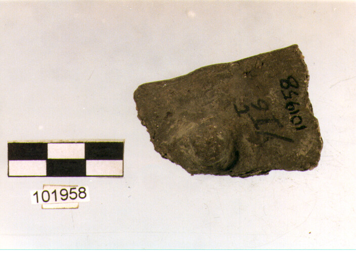 orlo, tipo E 6, Grotta S.Angelo - neo-eneolitico (V/ III millennio a.C)