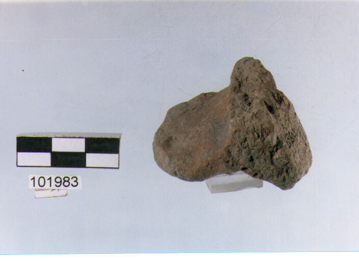 presa, tipo A7b, Grotta Sant'Angelo - neo-eneolitico (V/ III millennio a.C)