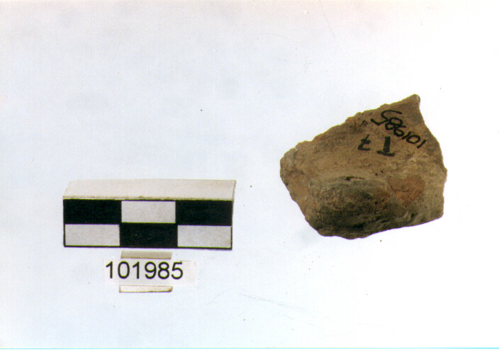 presa, tipo A7b, Grotta Sant'Angelo - neo-eneolitico (V/ III millennio a.C)