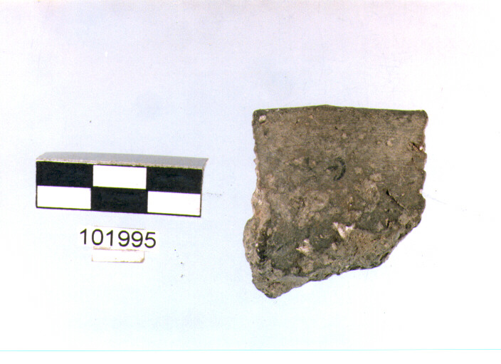 orlo, tipo E6, Grotta Sant'Angelo - neo-eneolitico (V/ III millennio a.C)