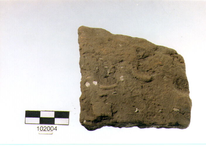 parete, tipo E7a1, Grotta Sant'Angelo - neo-eneolitico (V/ III millennio a.C)