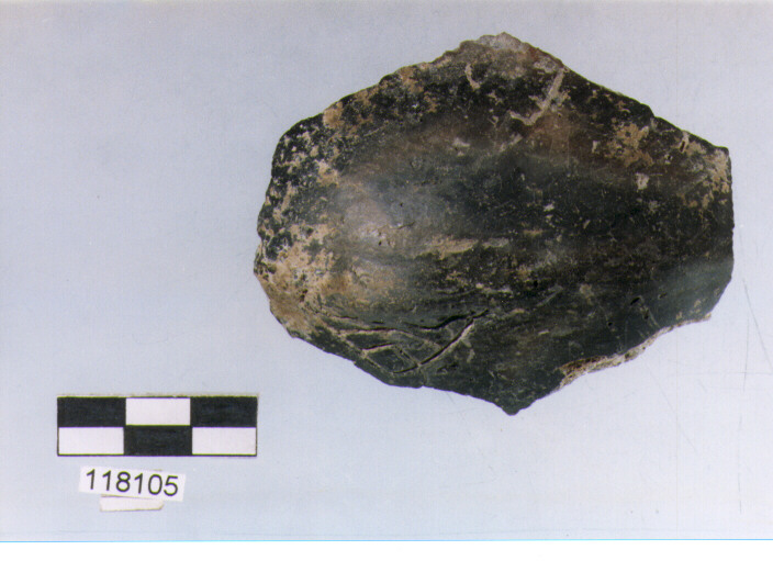 vasca (Prima età del ferro)