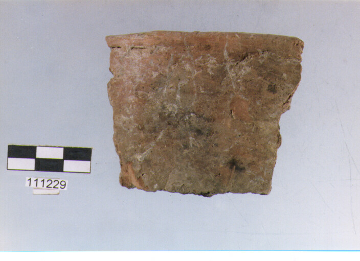 situla, situle, tipo 1B, La Fortellezza (età del ferro)