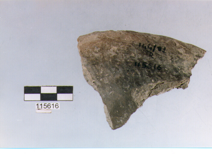 situla, situle, tipo 1B, La Fortellezza (età del ferro)