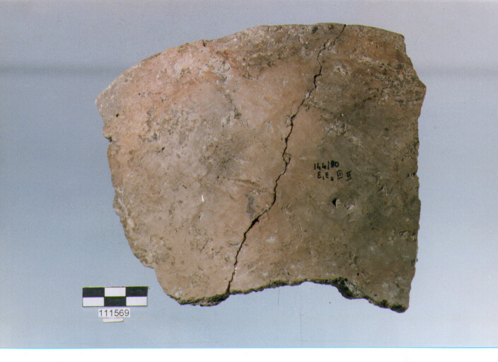 situla, situle, tipo 1C, La Fortellezza (età del ferro)