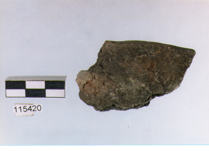 situla, situle, tipo 2B, La Fortellezza (età del ferro)