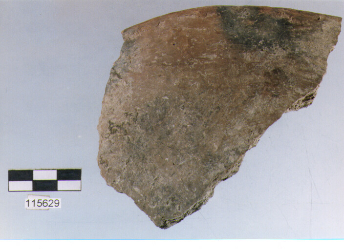 situla, situle, tipo 1A, La Fortellezza (età del ferro)