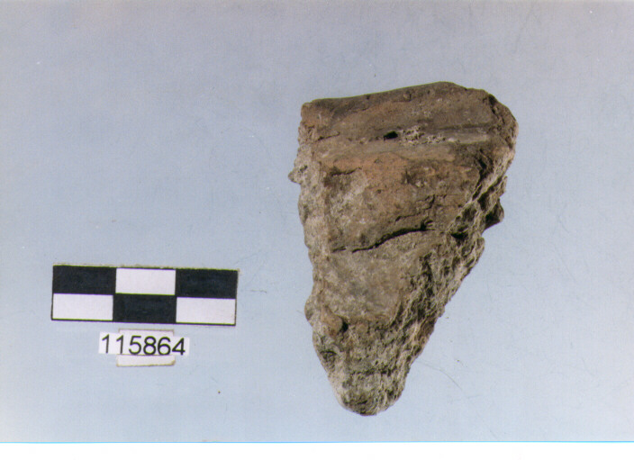 situla, situle, tipo 1C, La Fortellezza (età del ferro)