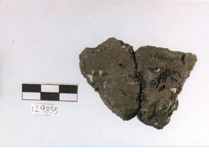 Parete, tipo E 7a1, Grotta S.Angelo - neolitico medio-finale (V/ IV millennio a.C)