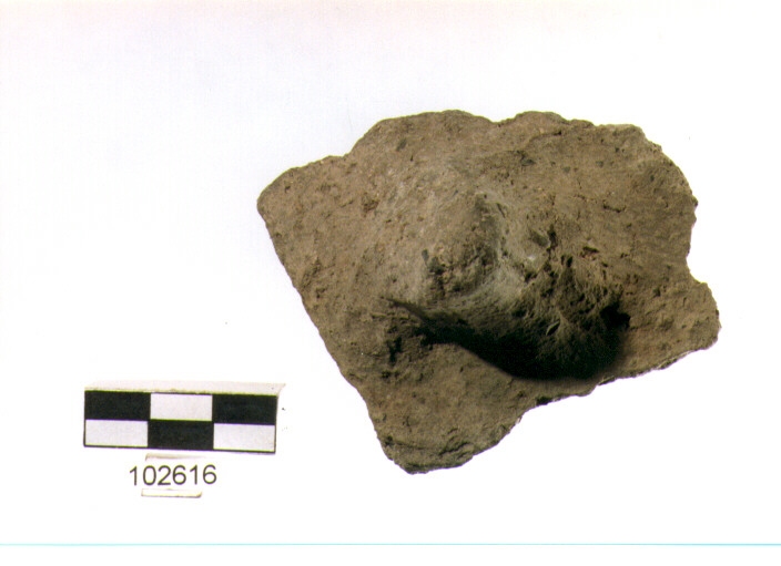 presa, tipo A7f, Grotta Sant'Angelo - neo-eneolitico (V/ III millennio a.C)