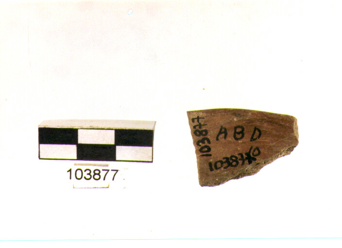 orlo, tipo E 6, Grotta S.Angelo - neo-eneolitico (V/ III millennio a.C)