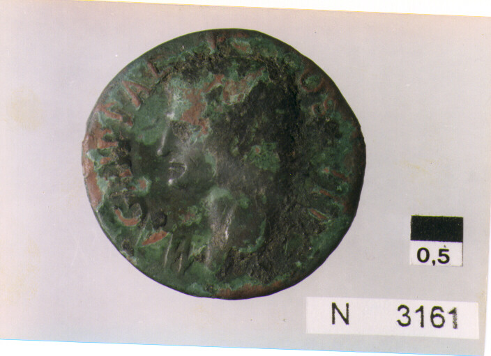 R: testa di Agrippa con corona reale a sinistra/ V: Nettuno stante con tridente e delfino (moneta, asse) (sec. I d.C)