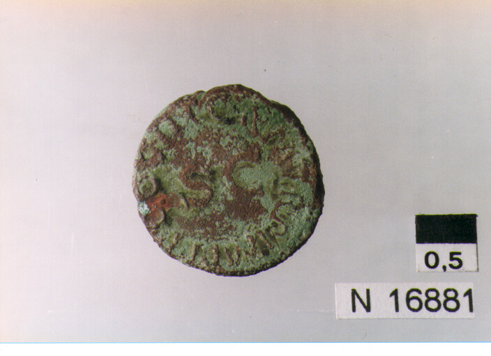 R: Modio al centro/ V: S C in campo (moneta, quadrante) (sec. I d.C)