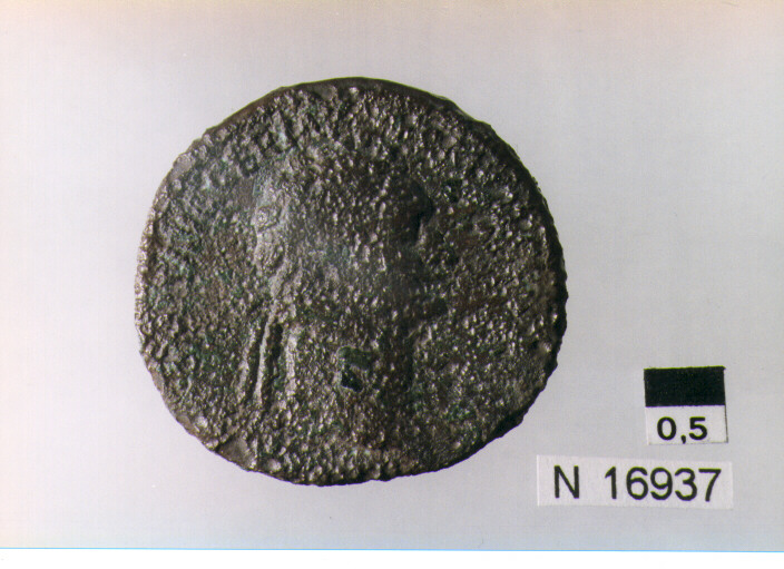 R: testa laureata di Domiziano(?)/V: illeggibile (moneta, asse) (sec. I d.C)