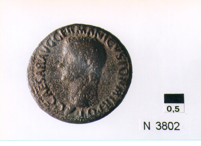 R/ testa nuda di Gaio(Caligola) a sinistra; V/ Vesta velata e drappeggiataseduta a sinistra su un trono ornato, tienen nella destra un patera, nellasinistra un lungo scettro di traverso (moneta, asse) (sec. I d.C)