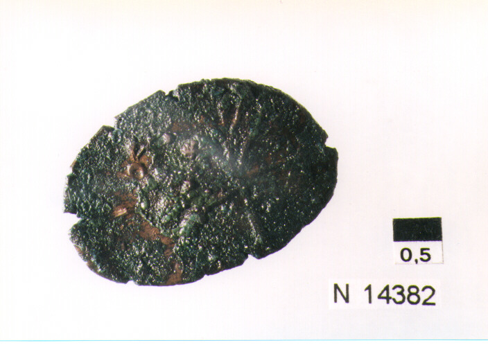 R/ scudo coronato contenente fascia iscritta; V/ tre spighe legate a un ramo d'olivo (moneta, pubblica del popolo) (sec. XVII d.C)