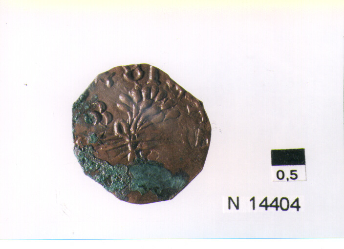 R/ scudo coronato contenente fascia iscritta; V/ tre spighe legate a un ramoscello d'olivo, sotto tre mezze lune (moneta, pubblica del popolo) (sec. XVII d.C)