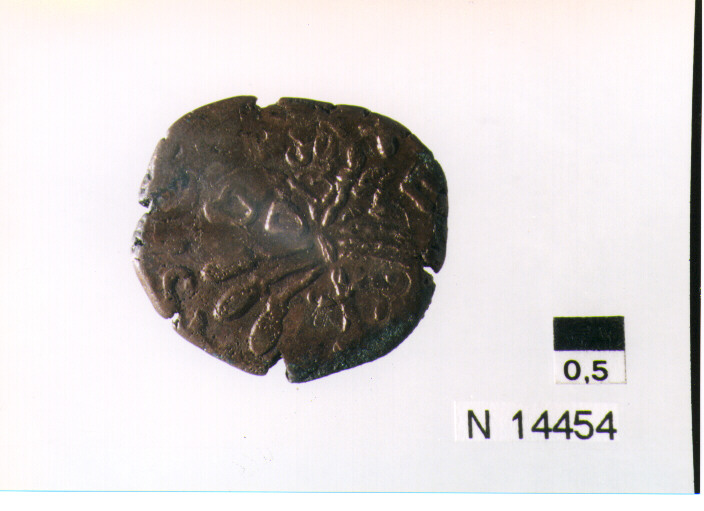 R/ scudo coronato contenente in una fascia iscrizione; V/ tre spighe legate da un ramoscello d'ulivo (moneta, pubblica del popolo) (sec. XVII d.C)