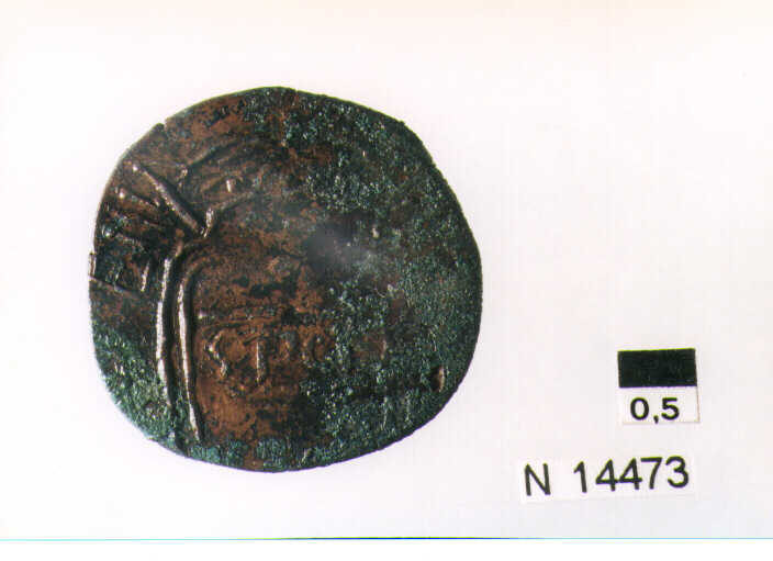 R/ scudo coronato contenente in una fascia iscrizione; V/ tre spighe legate da un ramoscello d'ulivo (moneta, pubblica del popolo) (sec. XVII d.C)