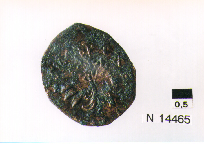 R/ scudo coronato contenente in una fascia iscrizione; V/ tre spighe legate da un ramoscello d'ulivo (moneta, pubblica del popolo) (sec. XVII d.C)