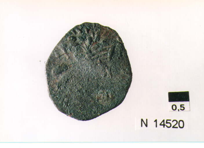 R/ scudo coronato contenente in una fascia iscrizione; V/ tre spighe legate da un ramoscello d'olivo (moneta, pubblica del popolo) (sec. XVII d.C)